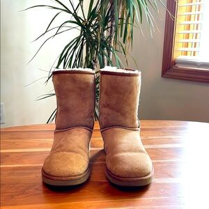Chestnut Ugg Boots